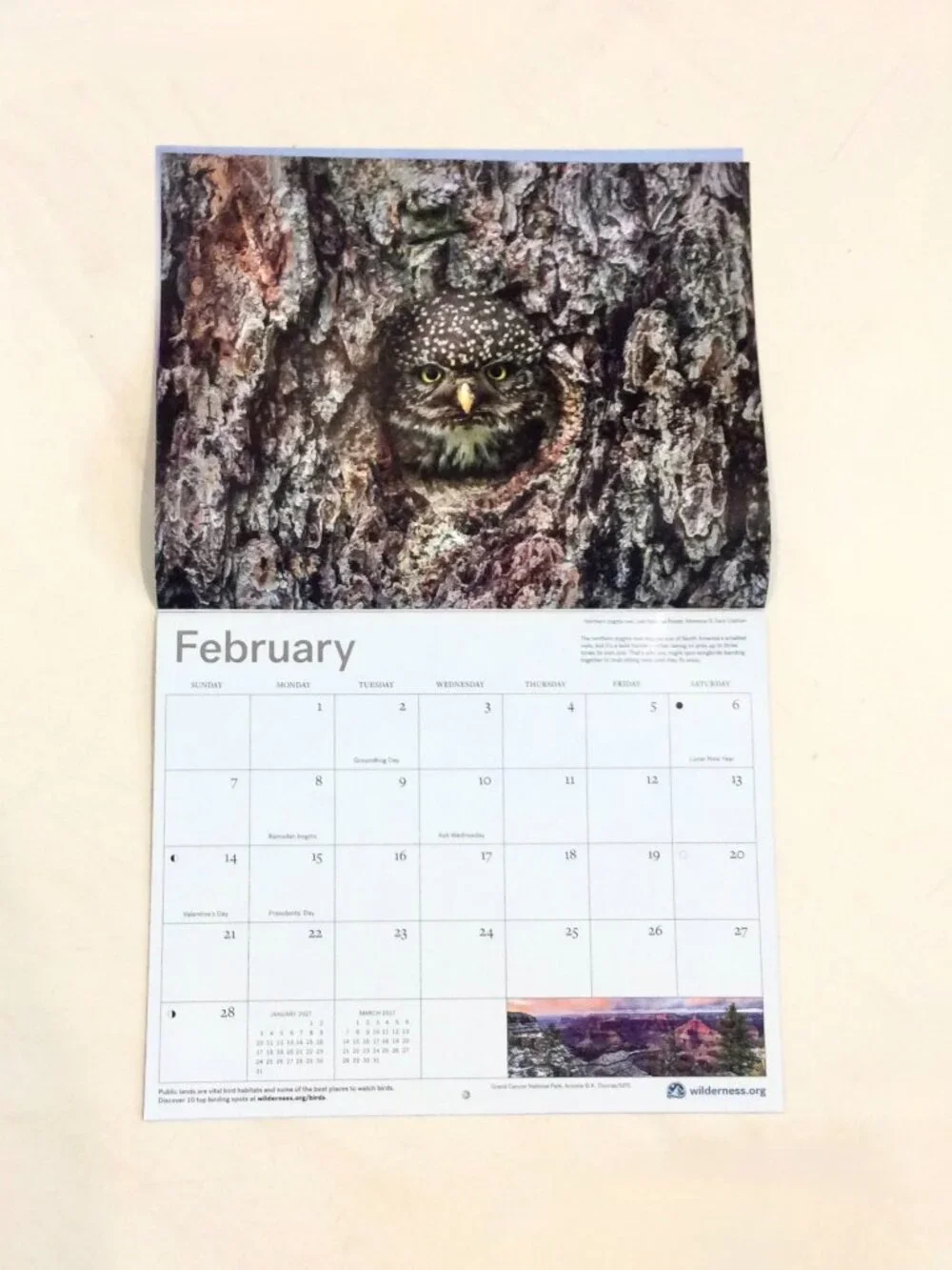 2027 The Wilderness Society 16-Month Wall Calendar Animals/Nature/Photography